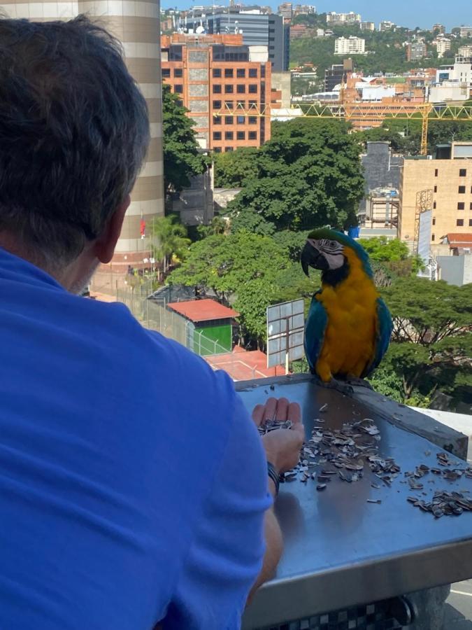 Ololo Caracas B&B Dış mekan fotoğraf